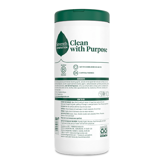 Multi-Surface Wipes - Garden Mint