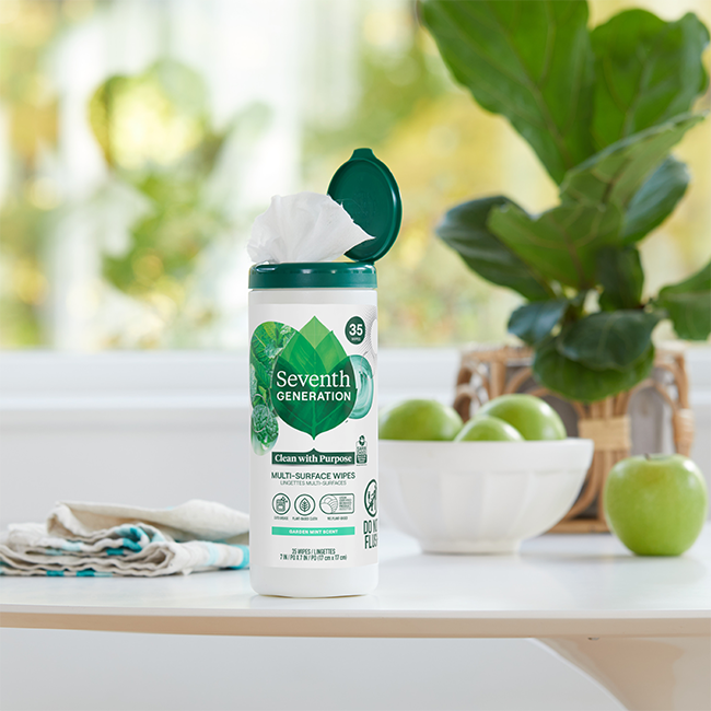 Multi-Surface Wipes - Garden Mint